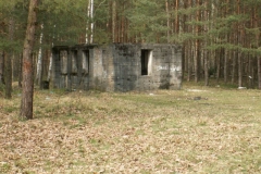 003-1