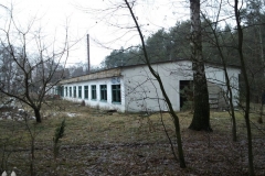 DSC07943