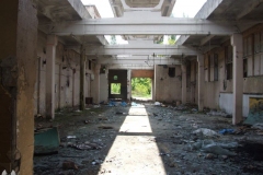 DSCF4520
