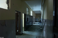 PICT7787