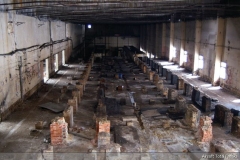 010