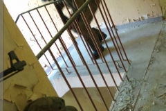 026