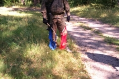 017