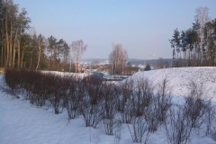 dsc00653