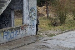 27
