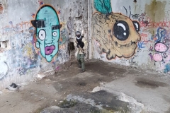 34