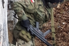 51