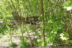 IMG_20220508_134947