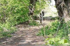 IMG_20220508_135016