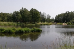 IMG_20220619_110618