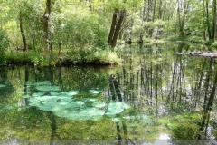 IMG_20220619_133303
