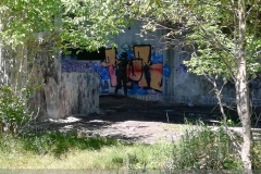 IMG_20240526_113237