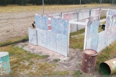 31