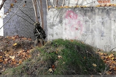 IMG_20241103_114518