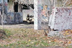 IMG_20241103_114551