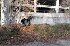 IMG_20241103_114703