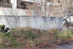 IMG_20241103_114721