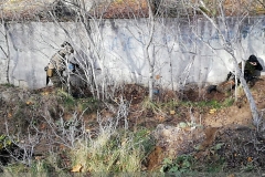 IMG_20241103_114831