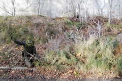 IMG_20241103_114846