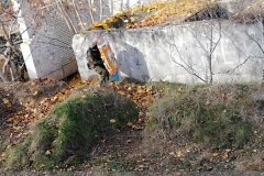 IMG_20241103_114858