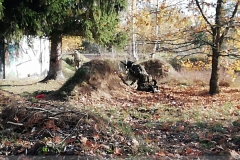 IMG_20241103_115316