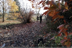 IMG_20241103_115454