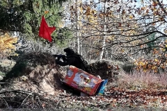 IMG_20241103_120119