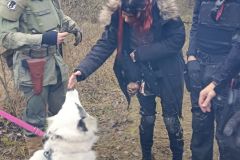 IMG_20251109_121351