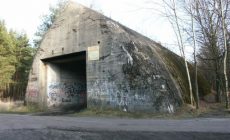 Jeleń